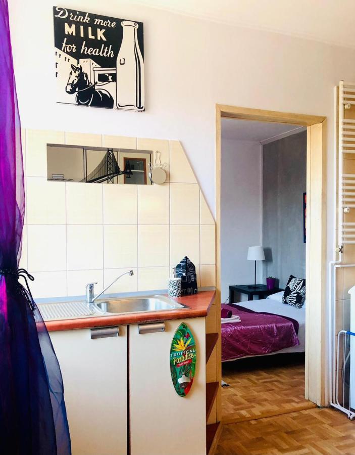 Mieszkanie W Srodmiesciu Blisko Rynku Wałbrzych Exterior foto